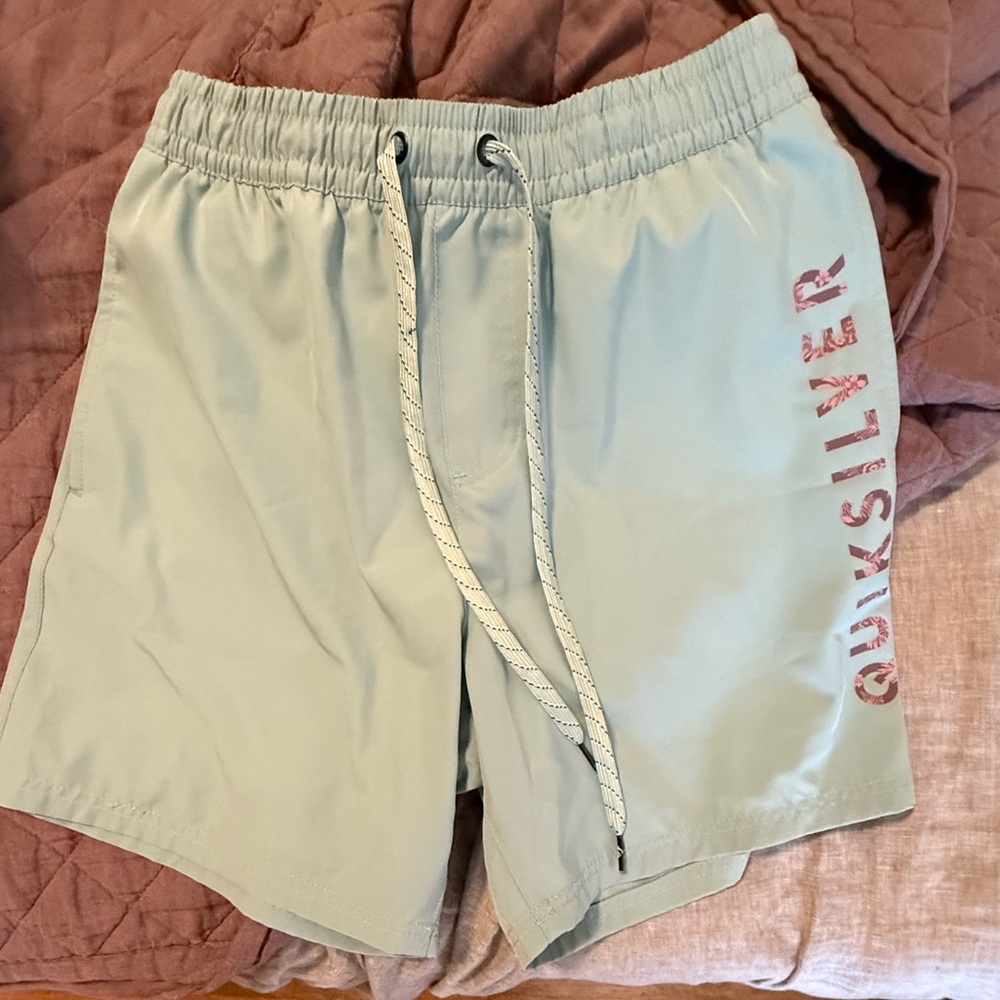 Quiksilver Men's Mint Green Athletic Shorts